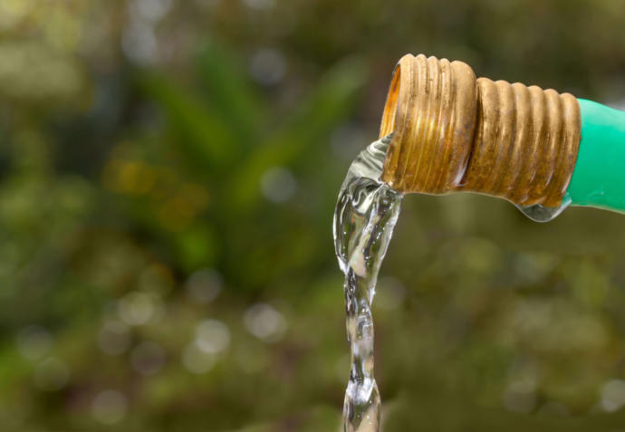 Did You Ever Drink Dirty Hose Water As A Kid?