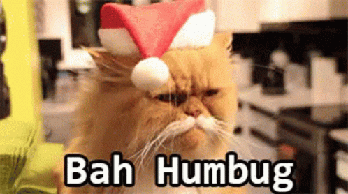 Are you looking forward to Christmas?