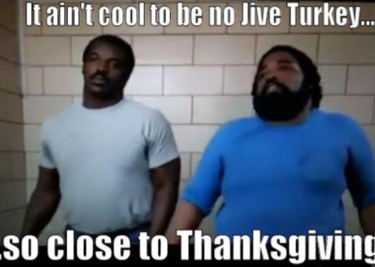 This Thanksgiving Will You Be: Eating Turkey Or Hanging Out With A Turkey?