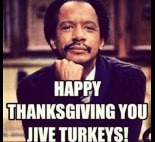 This Thanksgiving Will You Be: Eating Turkey Or Hanging Out With A Turkey?