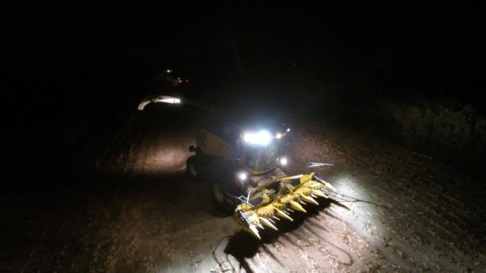 Have you ever done yard work at night?