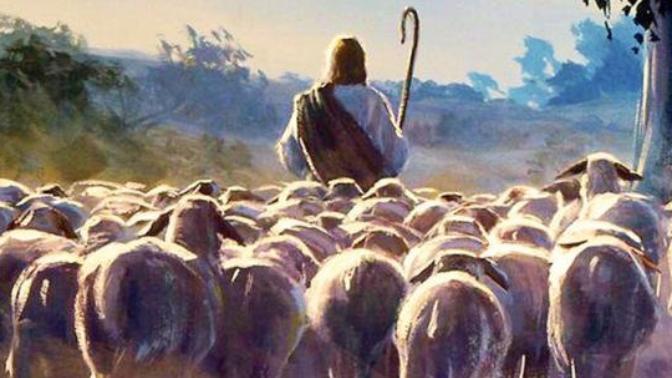 So your trying to tell me - Herd Immunity is important like Jesus herded his flock?