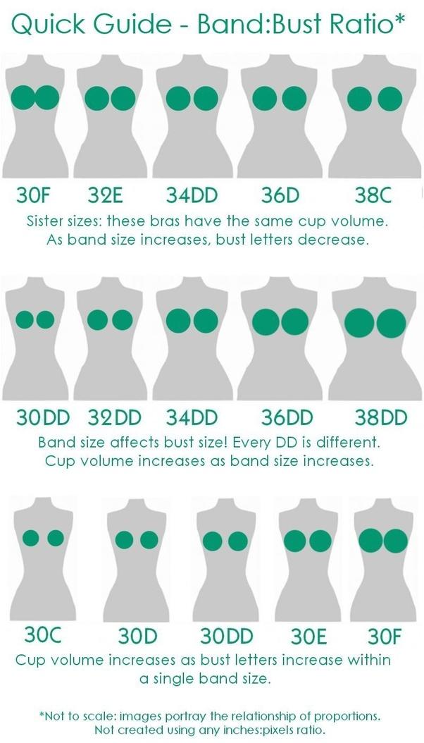 Is 38DD big breasts?