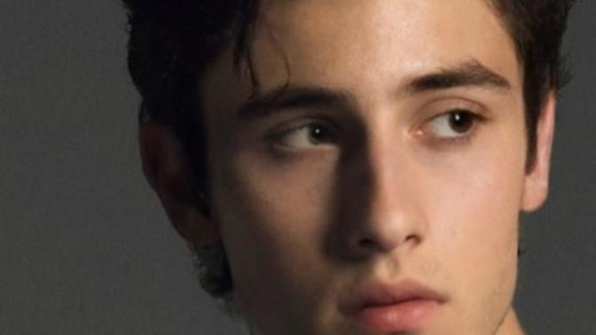 Is this type of Shawn Mendes good looking?