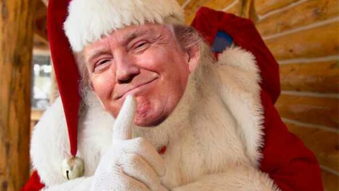 What would you like Trump to pardon you for?