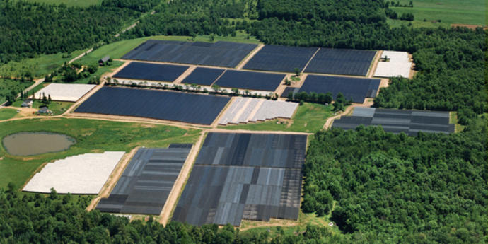 Here is what It shade cloth style look like from the air