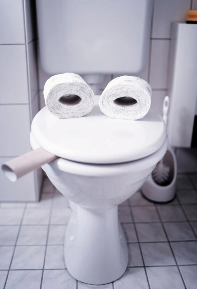 If Your Toilet Could Talk What Would It Say?