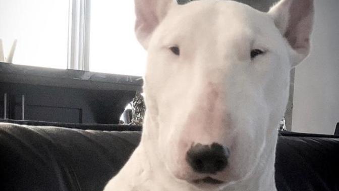 Is being upset a valid reason or am I just butt hurt?