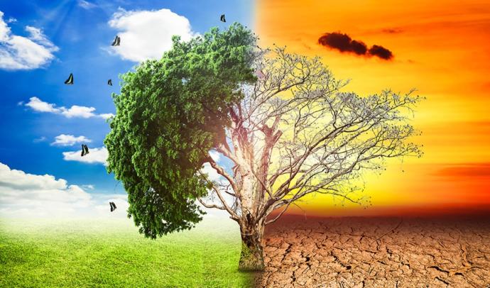Is Global Warming due more to humans or natural causes?