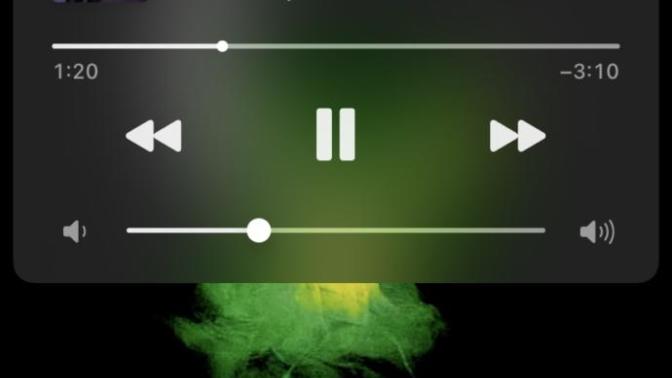 Have You Heard This Song?