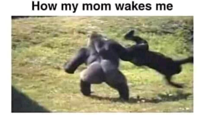 Anyone else have strict parents😭😭?