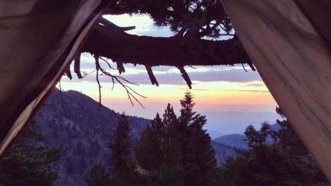 Are you afraid camping alone in the forest at night?