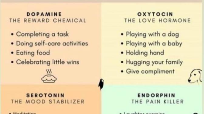 Do you know the happiness hacks?