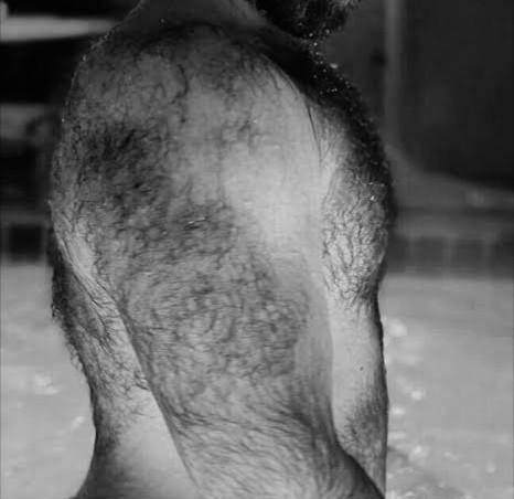 Girls, I am almost as hairy as this , what do girls think about such men?