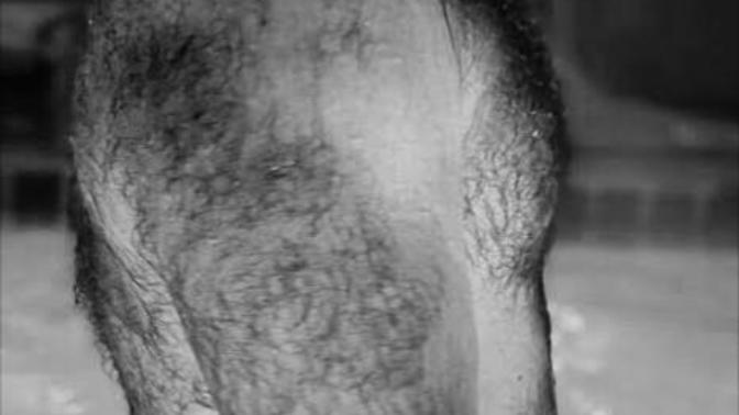 Girls, I am almost as hairy as this , what do girls think about such men?