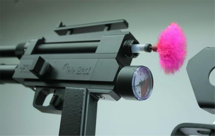 Should the covid vaccine be administered by dart gun?