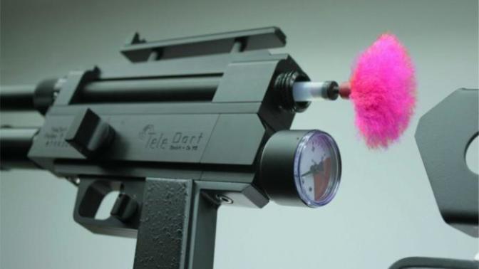Should the covid vaccine be administered by dart gun?