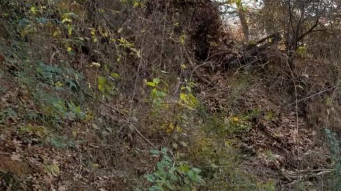 So is dumping leaves in a creek illegal in texas?