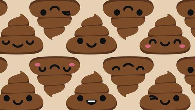 What makes you poop?