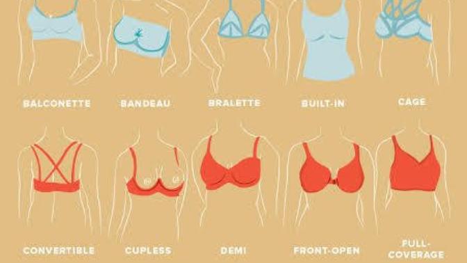 Girls, which type you are? and whats your size? your bra is comfortable to wear for you?