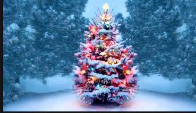 What’s everyone looking forward to this Christmas?