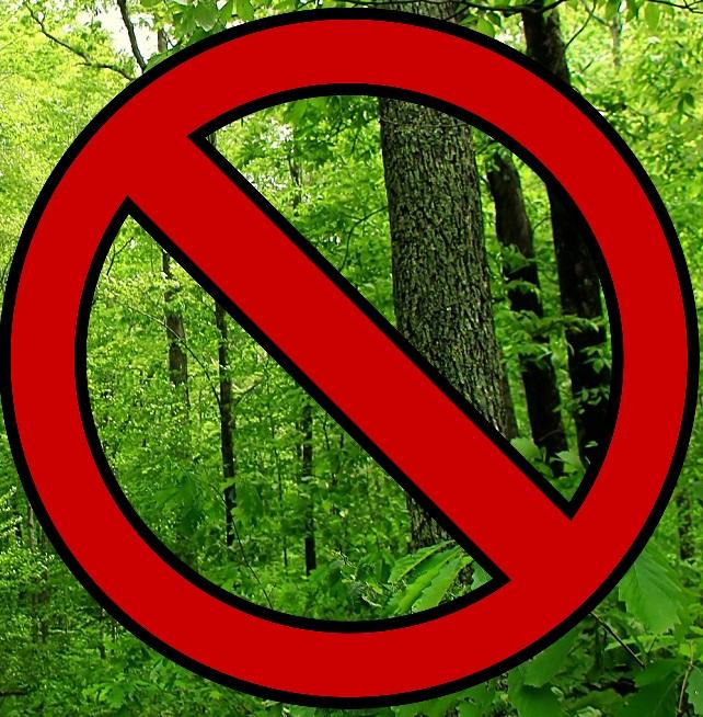 Should people who hate government leave society and go live in the woods?