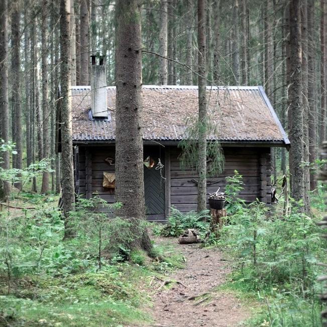 Should people who hate government leave society and go live in the woods?