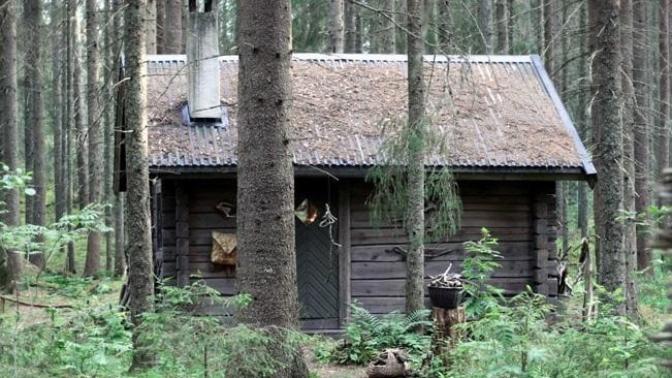 Should people who hate government leave society and go live in the woods?