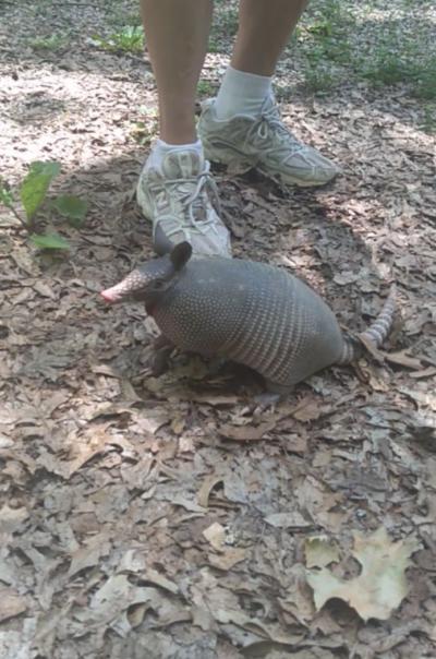 Would you have a very exotic pet?
