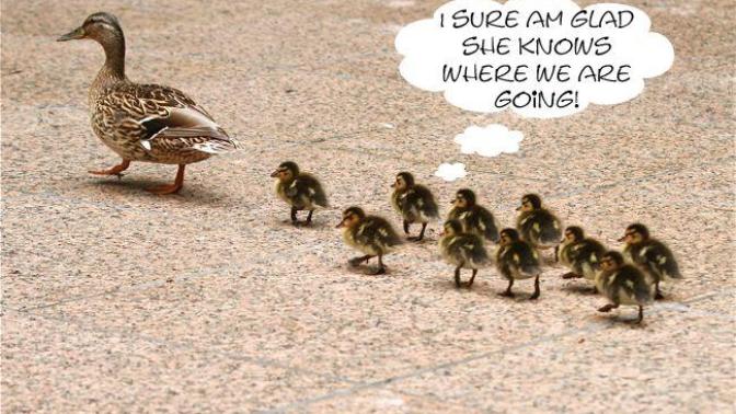 Are you a follower or do you lead others?
