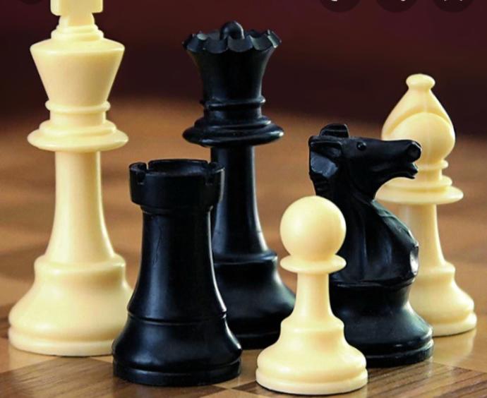 Why the king is the one that must be protected in chess?
