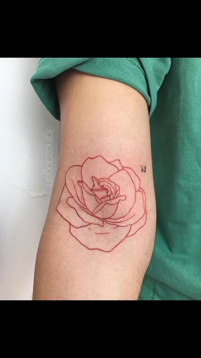 Which outline color should I choose?