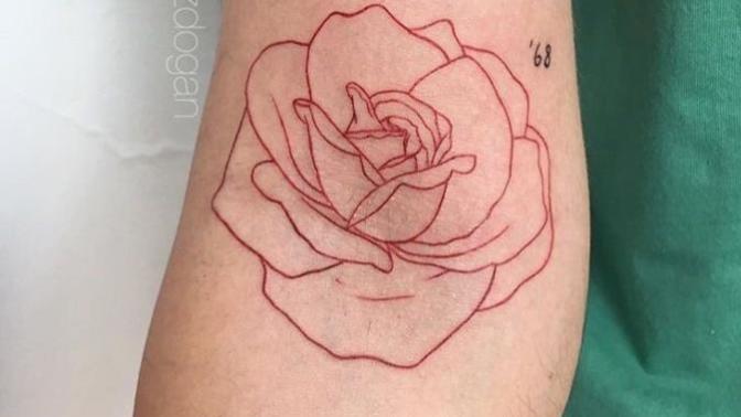 Which outline color should I choose?