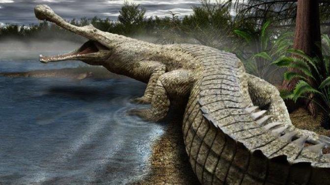 Does anyone else have dreams about being attacked by prehistoric animals?