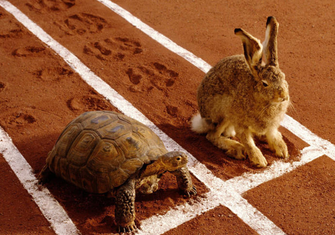 In The Bedroom Would You Rather Be The Tortoise Or The Hare?