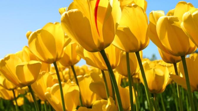 Can you share with me where I can meet new friends?