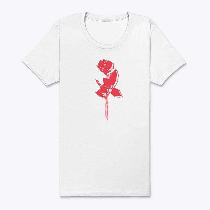 Girls, if price was no option, what style of t-shirt would you prefer to buy?