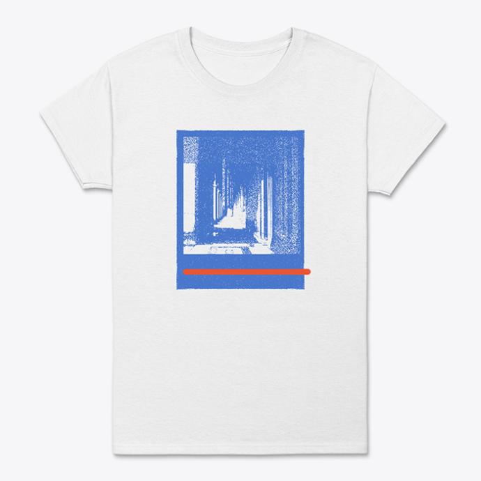Girls, if price was no option, what style of t-shirt would you prefer to buy?