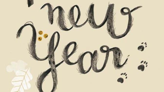 What Are You Looking Forward to in the New Year?