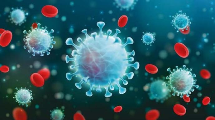 Do you believe the conspiracy theories about the Covid vaccine?