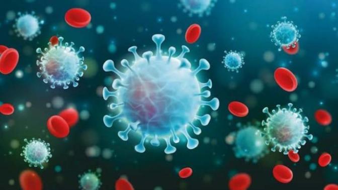 Do you believe the conspiracy theories about the Covid vaccine?