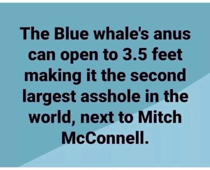 Agree or Disagree: Mitch McConnell is now the most hated man in America?