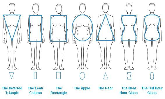 Favorite body shape on a woman?