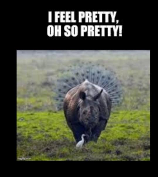 Do You Feel As Pretty As People Tell You You Are?