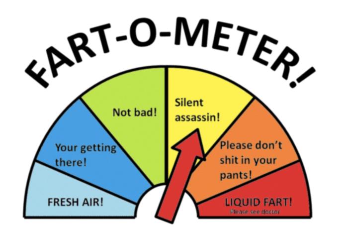 Would You Buy A Toilet Seat That Rated Your Farts Every Time You Let One Rip?