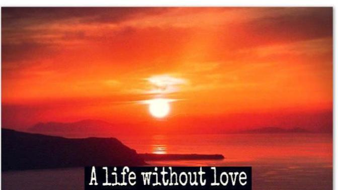 Is it possible to live a happy life without love and romance?