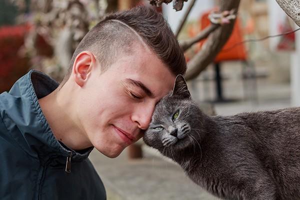 Does your cat headbutts with you?