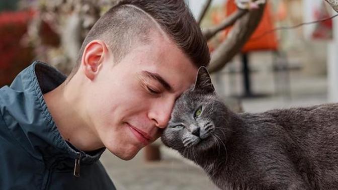 Does your cat headbutts with you?
