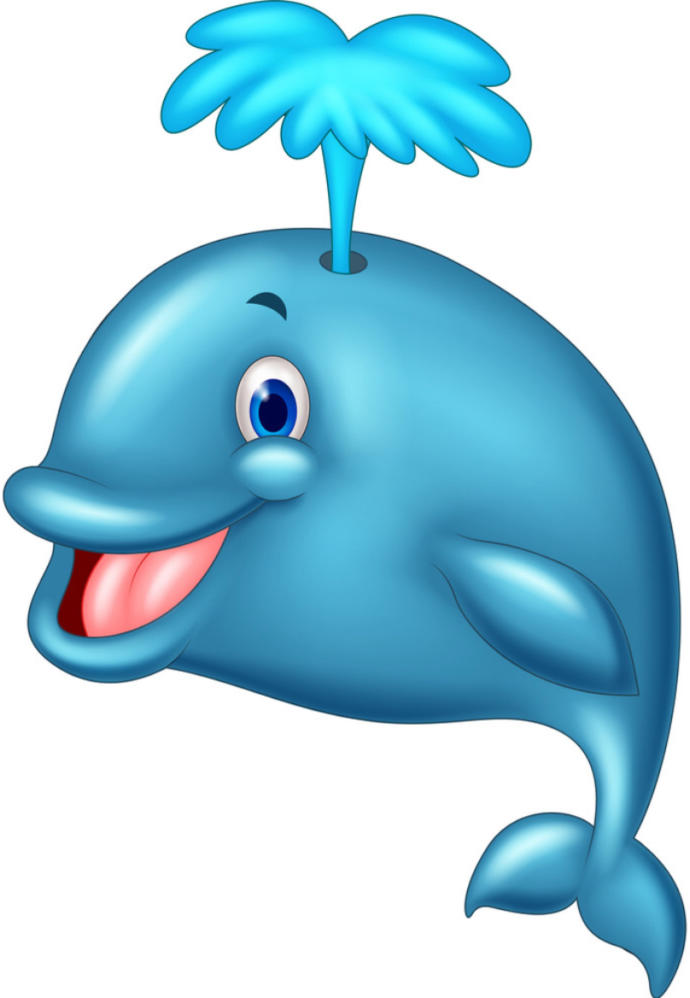 Is Whale Sperm The Reason Why The Ocean Is Salty, Can You Throw A Surprise Party For A Psychic, QUESTIONS WE PONDER OVER, Do You Know Any?