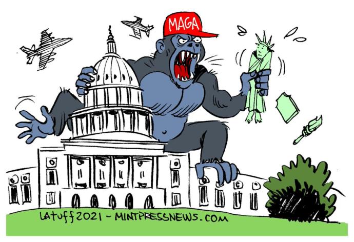 What did you think when you saw the MAGA mob storming the capital?